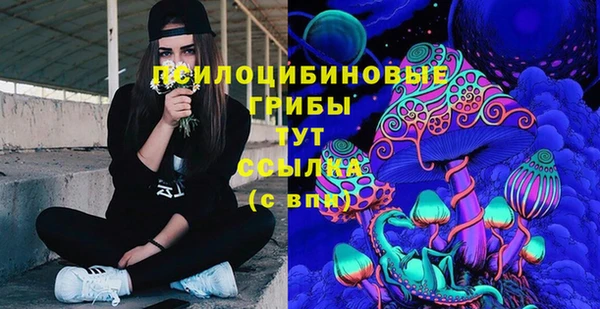 ешки Алзамай
