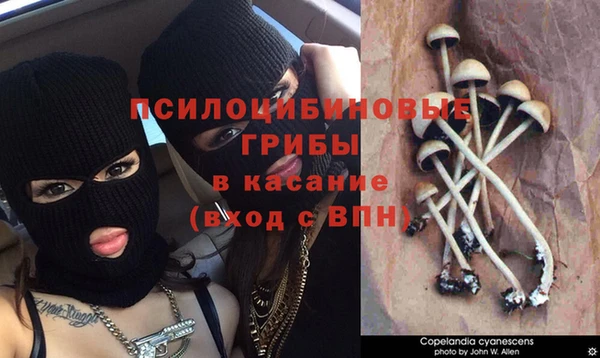 ешки Алзамай