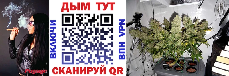 сайты даркнета состав  Апатиты  Шишки марихуана White Widow 